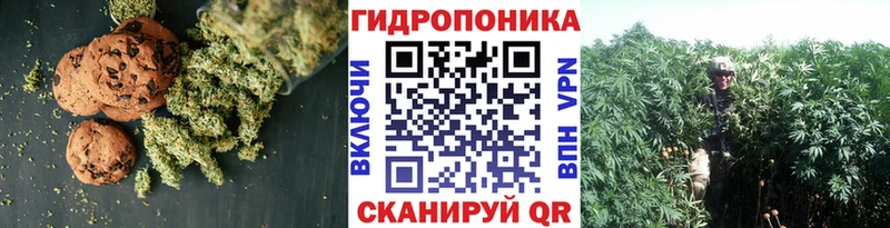 Cannafood марихуана  Чёрмоз 
