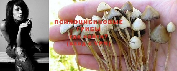 таблы Магас