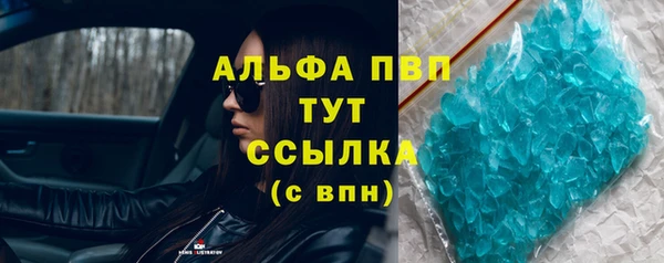 гашик Майский