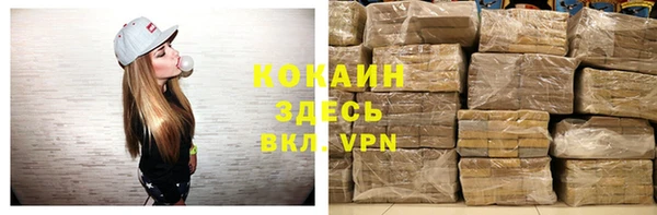 гашик Майский
