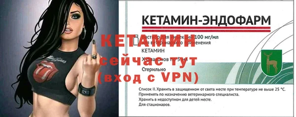 крисы Алагир