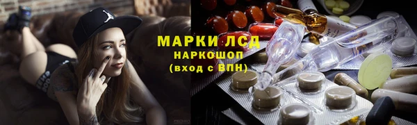 гашик Майский