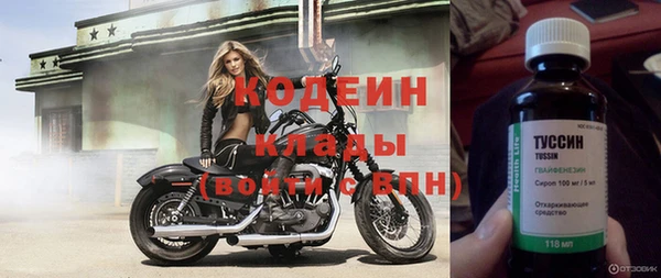 гашик Майский