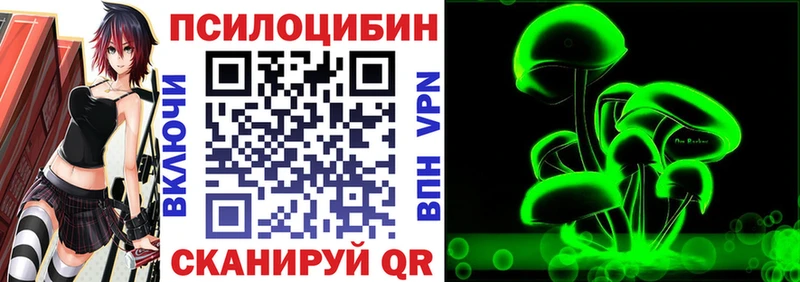 mega ССЫЛКА  Чёрмоз  Галлюциногенные грибы Magic Shrooms  даркнет сайт 