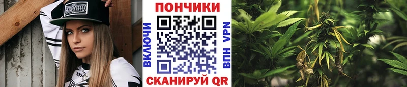 купить закладку  Чёрмоз  МАРИХУАНА THC 21% 